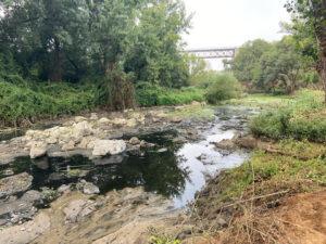 [Montemor-o-Novo] Esgotos despejados no Rio Almansor 