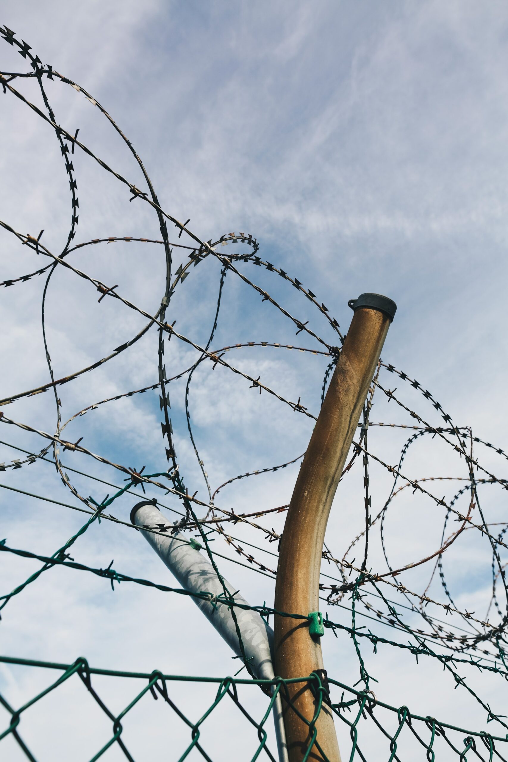 markus-spiske-wv81lragnz4-unsplash1-8689100