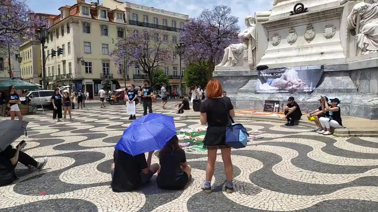 [Lisboa]NARD Dia Nacional.pelos Direitos dos Animais
#PTrevolutionTV #AltPT #indymediaPT