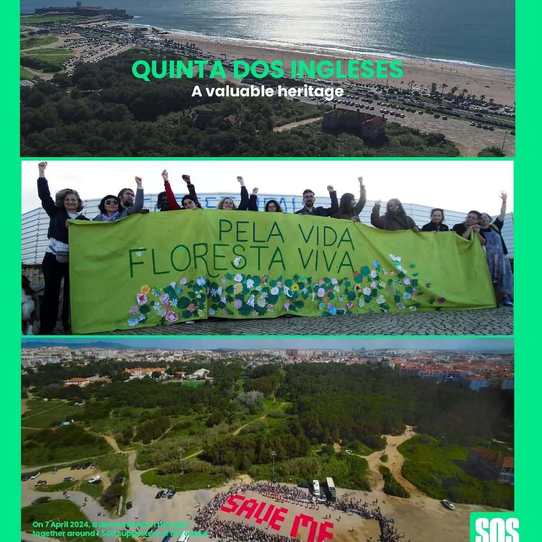 Um copo de chá com xs guardiões da floresta da Quinta dos Ingleses