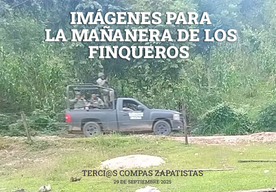 CintilloFinqueros