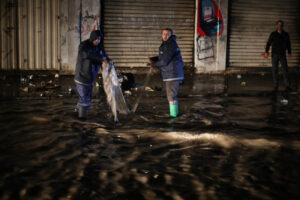 Civil Defense: Over 53,000 victims recovered since start of Gaza genocide
