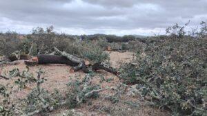 Obras da “Barragem do Pisão” foram paradas após ação de Ambientalistas, Aldeia do Pisão poderá ser submersa