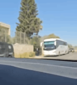 Forças de Ocupação prenderam ativistas e agricultores Palestinos durante as colheitas de Azeitona