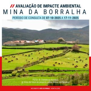 Como participar na Consulta Pública do EIA da Mina da Borralha