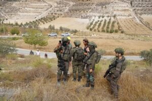 Relatos da Apanha da Azeitona na Palestina Ocupada