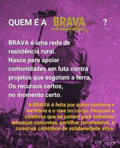 Auto Organização e Solidariedade Rumo a um Futuro mais justo para Todos, para isso foi criada a BRAVA.